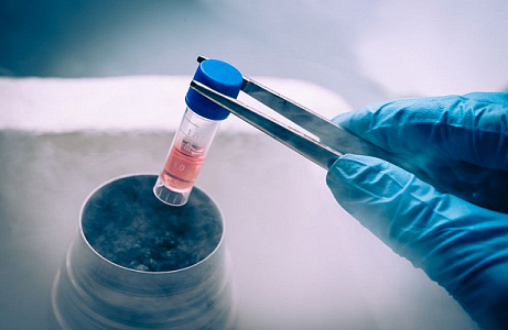 КАК УСТРОЕН БАНК СТВОЛОВЫХ КЛЕТОК