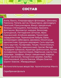 Vasu / Чаванпраш Авалеха Специаль со вкусом Манго, 550 г
